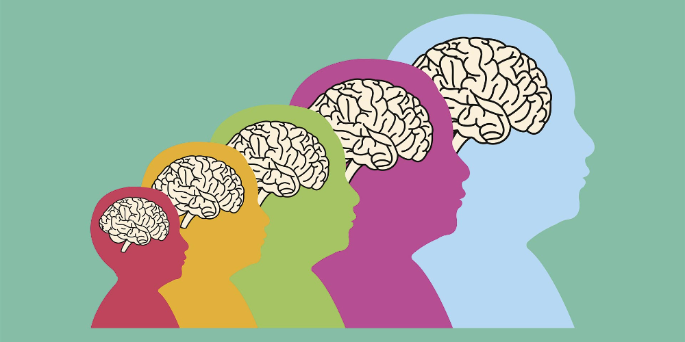 Изображение подборки